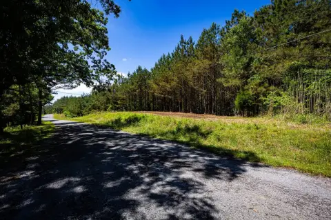Land Near Fulton, MS