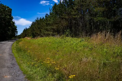 Manageable Land Near Fulton, MS