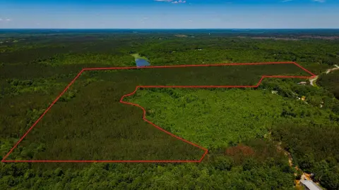 Fulton Timber Tract Land