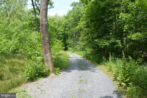 Recreational Hunting Land With Creek Access