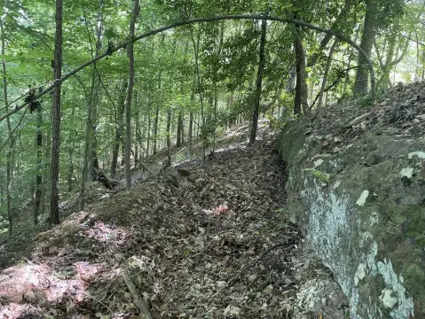 90 Acres Hunting/Recreation Land