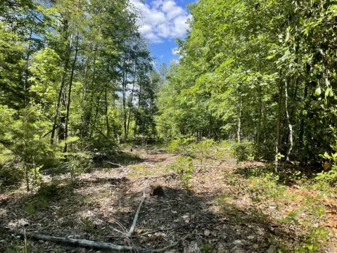 70 Acres Hunting and Recreation