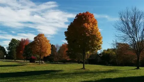 Lochkirk Buildable Estate Lot