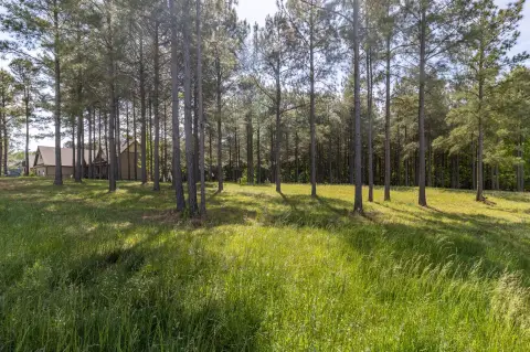 Residential Land in Jasper Highlands