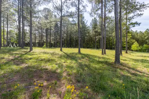 Residential Land in Jasper Highlands