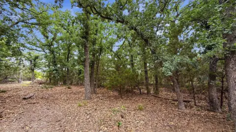 Wooded Hill Country Land Tract