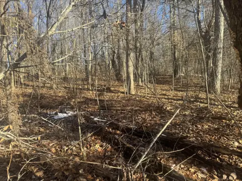 Unrestricted Land with Mountain Views