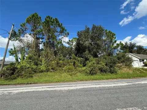 Residential Lot in Poinciana