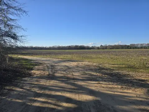 Agricultural Land with Road Frontage