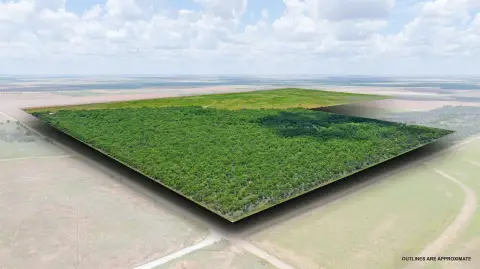 Recreational Farmland Tract