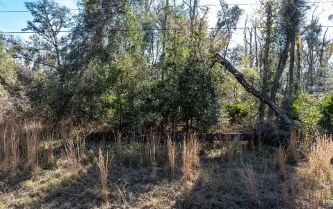 Wooded Land Parcel Near River