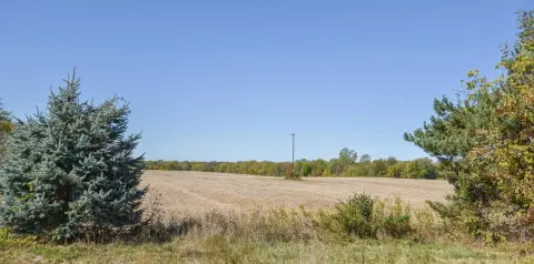Residential Land in Quincy, MI