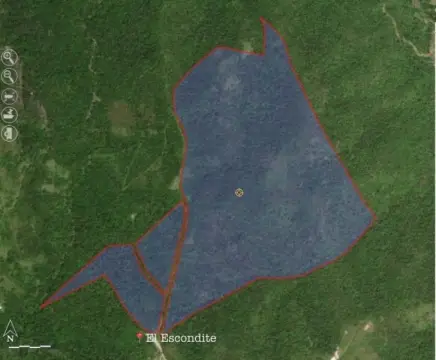 Land Investment Opportunity in Cayey