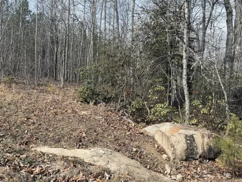 Jasper TN Land Homesite