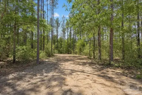 Pace, FL Estate Parcel