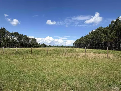 Walnut Hill Land Opportunity