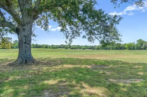 39.84 Acres in Ben Wheeler