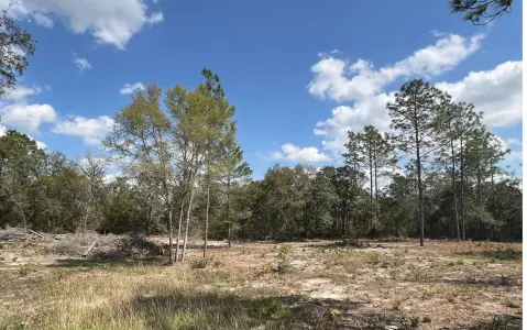 Williston Buildable Residential Lots