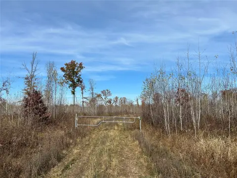 Managed Forest Hunting Land
