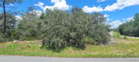 Citrus Springs Residential Land Parcel