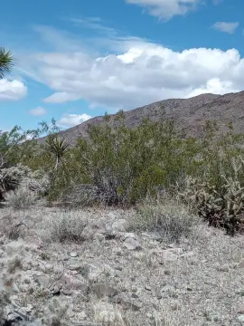 Vacant Land with Amazing Views