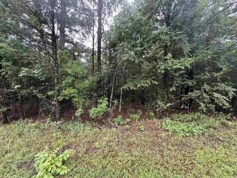 Wooded Acreage with Gently Sloping Terrain