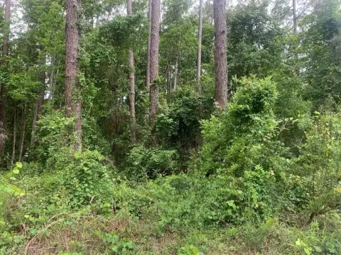 Satsuma, FL Land For Sale