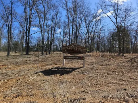 Residential Lot in Steelville, MO