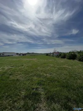 Unrestricted Land Near Rogersville, AL