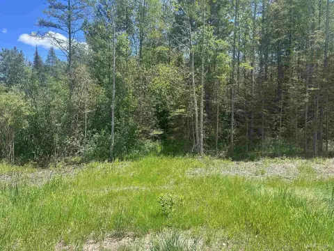 Recreational Hunting Land Parcel