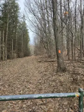 6-Acre Wooded Retreat in Mears