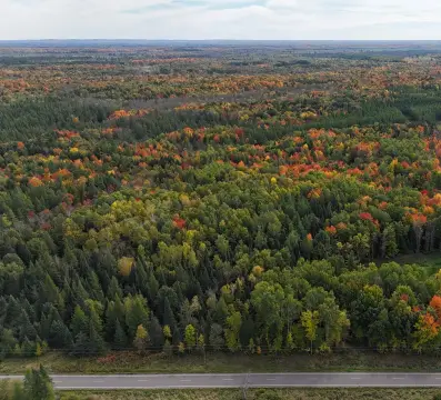 Wooded Hunting Land