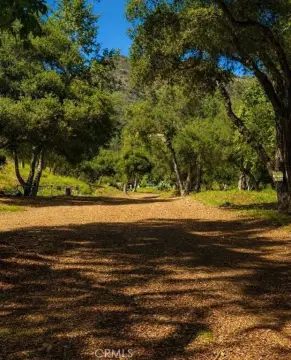 Secluded Land in Trabuco Canyon
