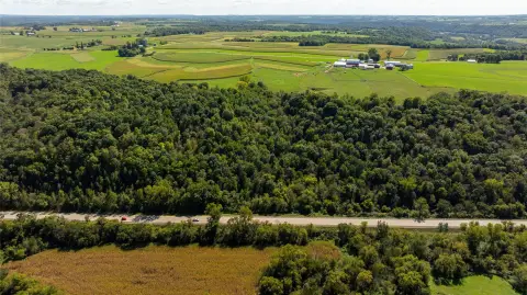 Timbered Hunting Land