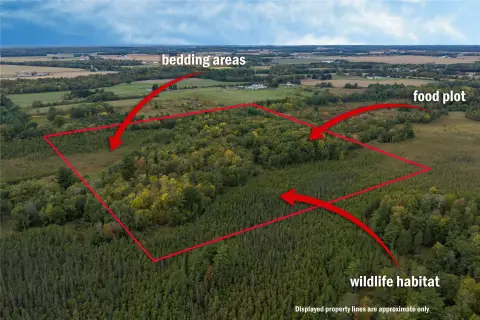 Wooded Hunting Land