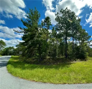 Citrus Springs Wooded Residential Lot
