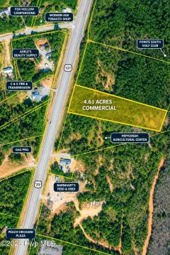 Wooded Commercial Land