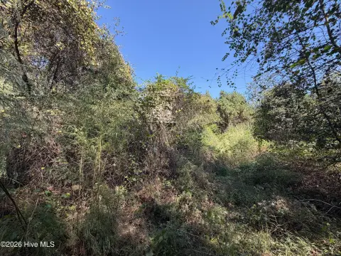 Wooded Hunting Land with Creek Frontage