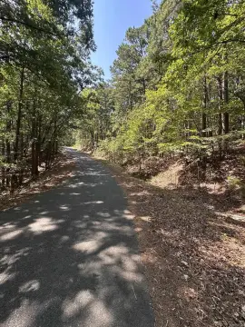 Wooded Residential Home Lot