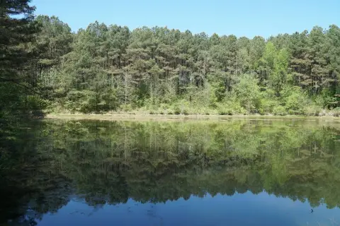 20 Acres of Versatile Land