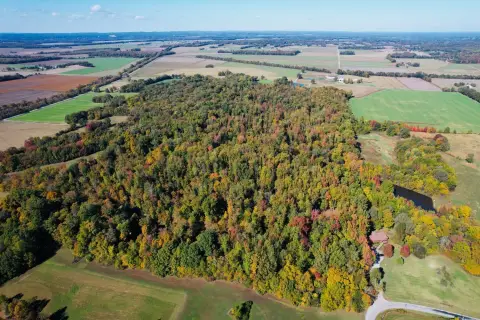 99 Acres Timber Hunting Land