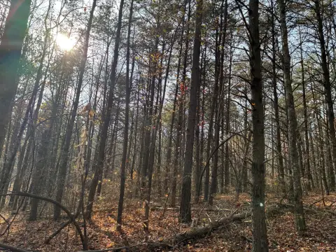 Tennessee Mountain Living Land