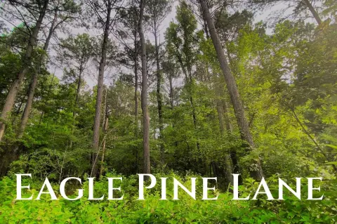 Secluded Wooded Lot in Broken Bow