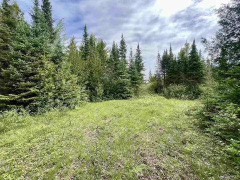 Wooded Hunting Land with Easement Access