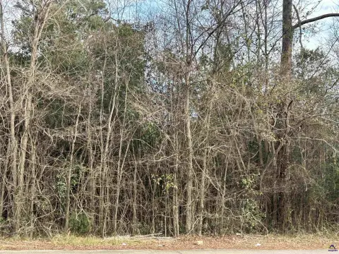 Residential Lot in Macon, Georgia