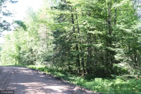 Wooded Recreation Land Parcel