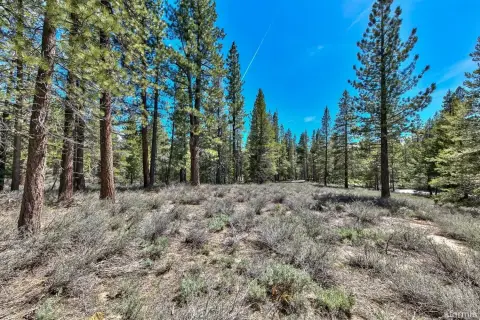 Rare South Lake Tahoe Acreage