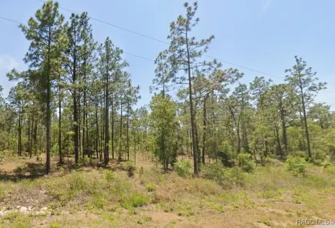 Rainbow Lake Estates Land Parcel