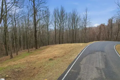 Landrum Homesite with Mountain Views