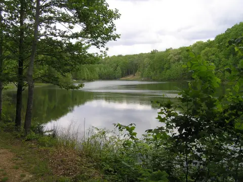 Wooded Lot in Quiet Subdivision